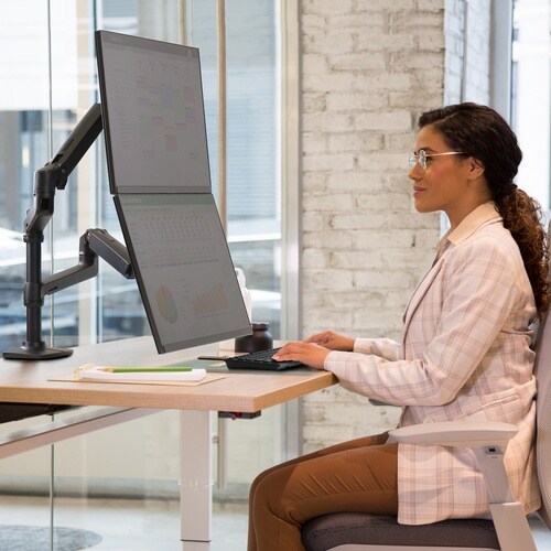 ERGOTRON LX デュアル モニターアーム
