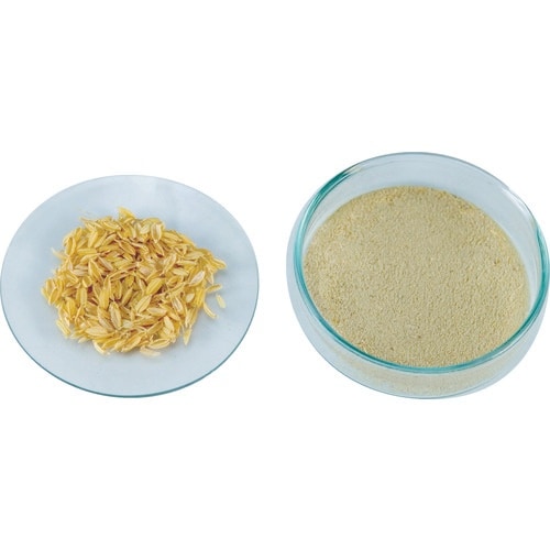 WARING ワーリングエキストリームミル30秒タ