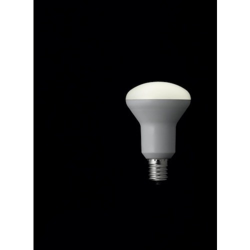 YAZAWA R50レフ形LED 昼白色