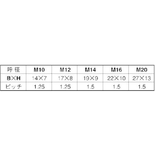 SUNCO 7マークBT(小形 全ネジ(細目 1