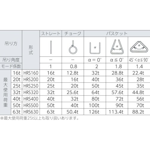 TAIYO インカ ヘビーラウンドスリング 20t