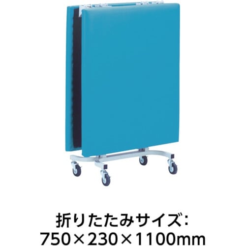 MIZUNO 移動用ベット ベンチ ブルー 幅18