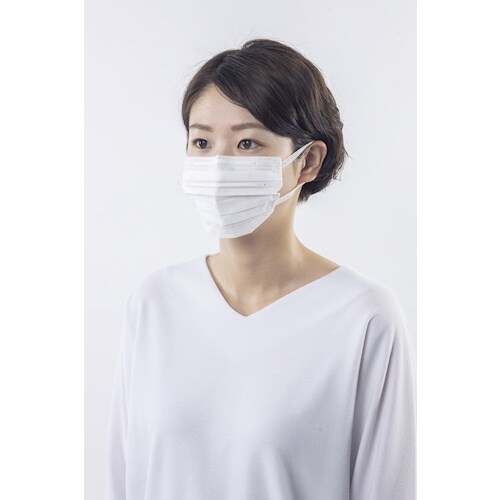 IRIS 296512 美フィットマスク ふつうサ