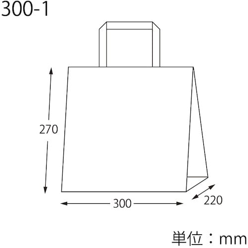 スワン 手提げ紙袋 Nフラットチャームバッグ 平手