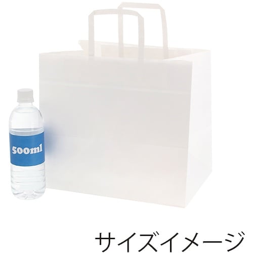 スワン 手提げ紙袋 Nフラットチャームバッグ 平手