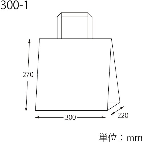 スワン 手提げ紙袋 Nフラットチャームバッグ 平手