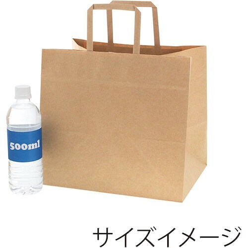 スワン 手提げ紙袋 Nフラットチャームバッグ 平手