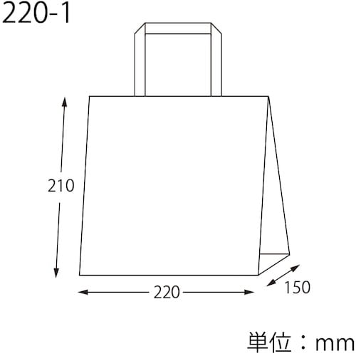 スワン 手提げ紙袋 Nフラットチャームバッグ 平手