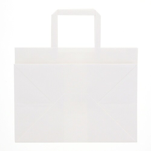 スワン 手提げ紙袋 Nフラットチャームバッグ 平手