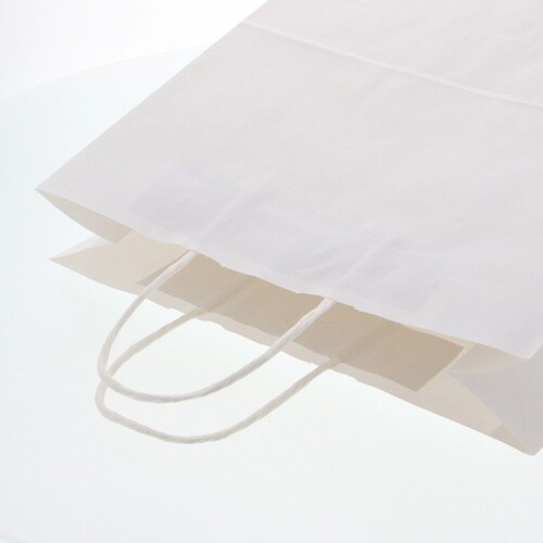 スワン 手提げ紙袋 25チャームバッグ 3才 E