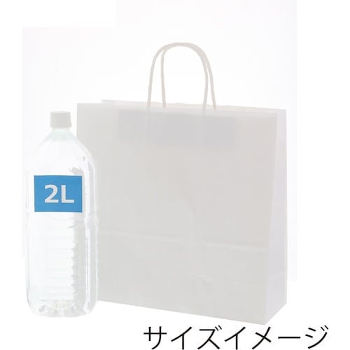 スワン 手提げ紙袋 25チャームバッグ 3才 E