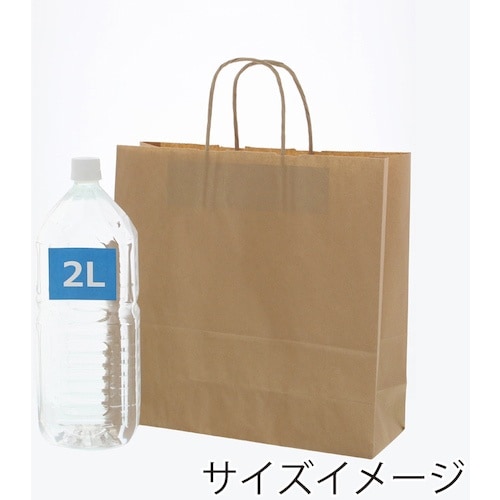 スワン 手提げ紙袋 25チャームバッグ 3才 E