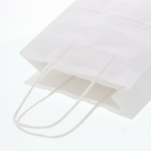 スワン 手提げ紙袋 25チャームバッグ 20−1