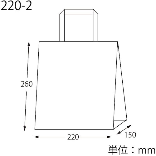 スワン 手提げ紙袋 Nフラットチャームバッグ 平手