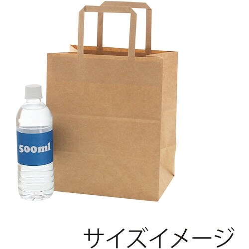 スワン 手提げ紙袋 Nフラットチャームバッグ 平手