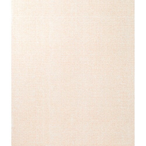 アサヒペン 裏紙のないそのまま貼れるカベ紙 46C