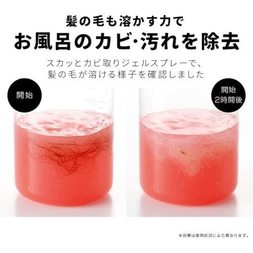 アイメディア 業務用スカッとカビ取りジェルスプレー