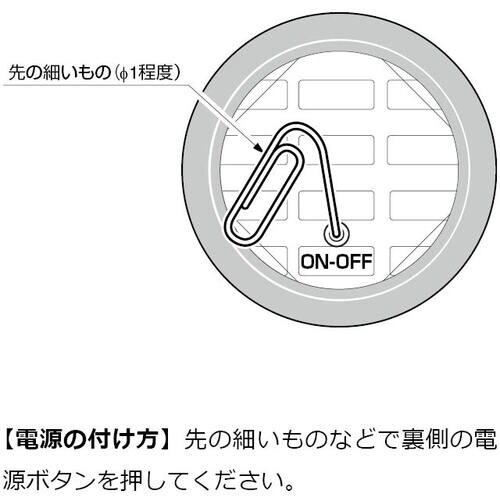 SUGATSUNE (290048599)パーテー