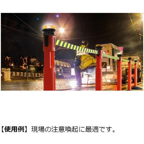 SUGATSUNE (290048599)パーテー