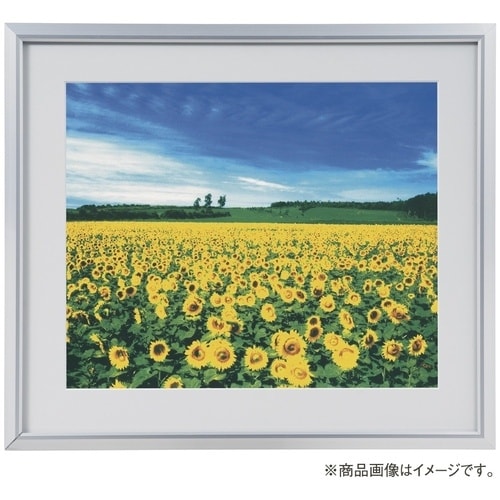 ナカバヤシ アルミ製軽量写真額/シルバー/四ツ切