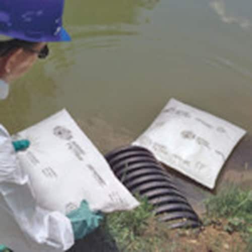 pig ピグスキマーピロー (大型/箱) (10個