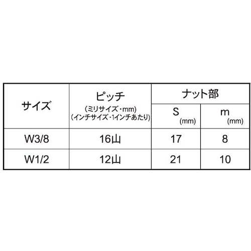 SUNCO SUSスナップナット W1/2 (