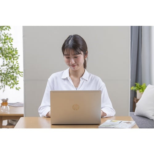 IRIS 290779 スクリーン SRK−168