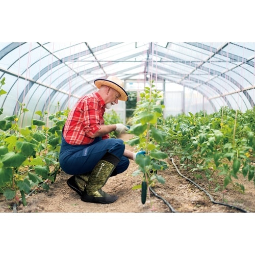 アトム グリーンマスターアクティブLL