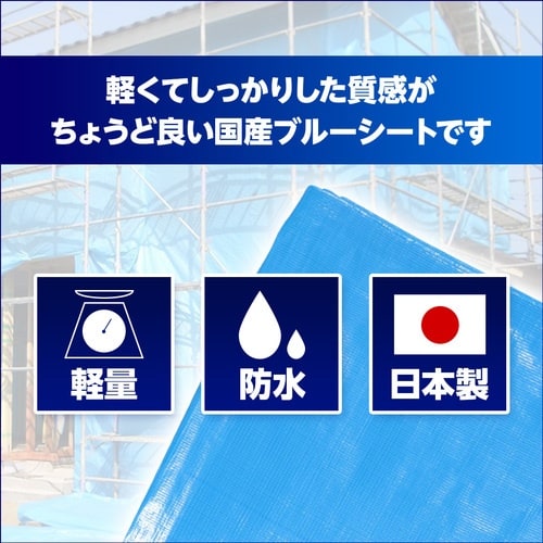 萩原 ターピー OSシート(ブルーシート) #25