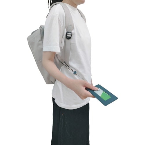 レイメイ タイニストリール付パスケースダークブラウ