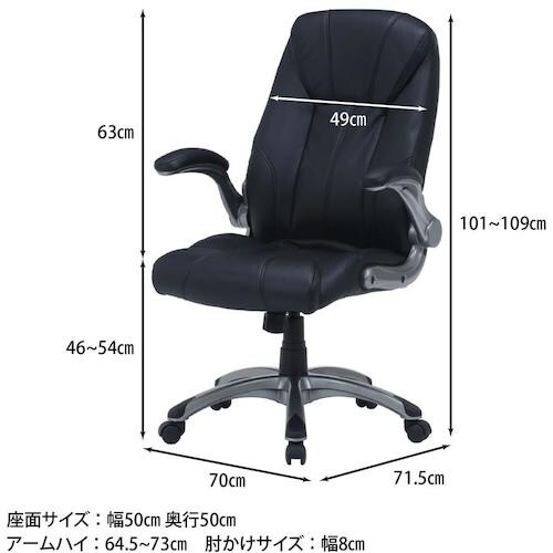 不二貿易 エグゼクティブチェアー デクシア BK