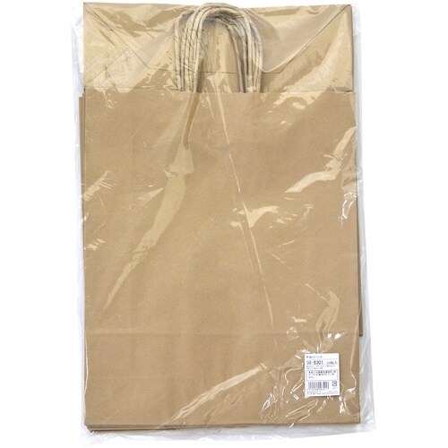 ササガワ 手提袋 未晒 10P