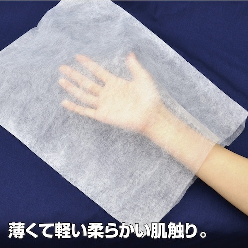 ササガワ 不織布製 内袋 中