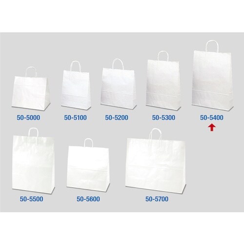 ササガワ 手提袋 白無地 50P