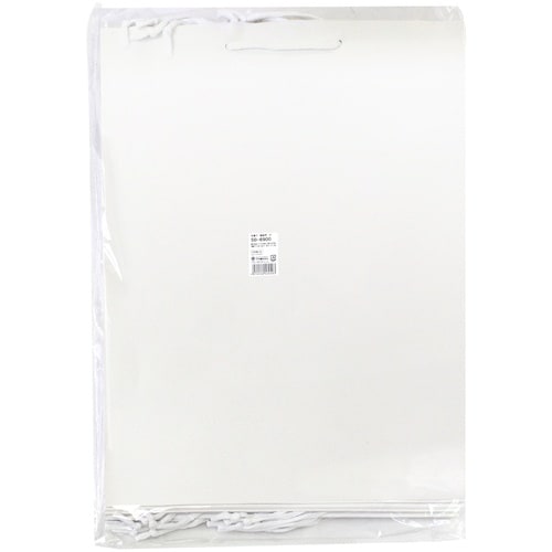 ササガワ 手提袋 額縁用 大 10P