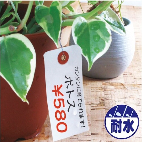 ササガワ ユポ荷札 中