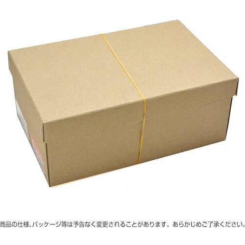 ササガワ カラー荷札 大 桃 一穴