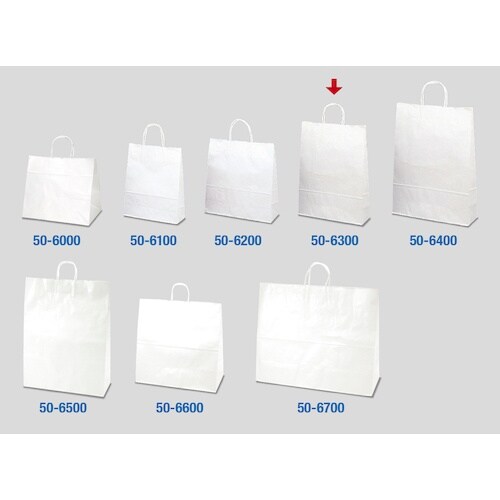 ササガワ 手提袋 白無地 10P