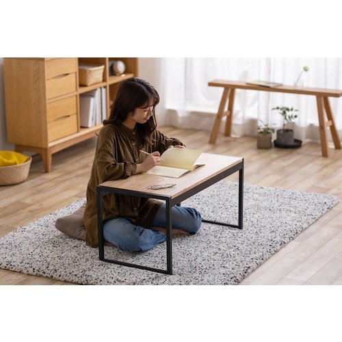 IRIS 103098 スチールフレームセンターテ