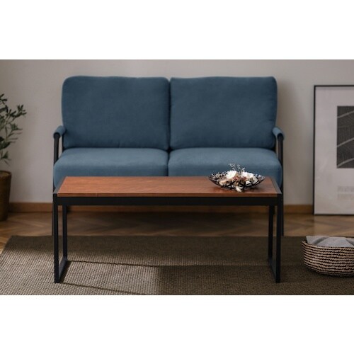 IRIS 103103 スチールフレームセンターテ