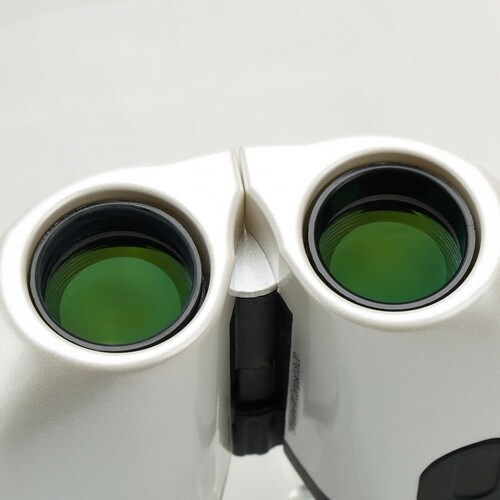 Kenko 双眼鏡 ウルトラビューMコンパクト 8