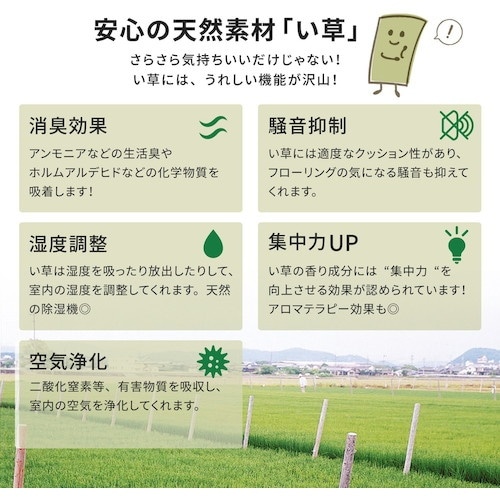 萩原 撥水 敷き詰め い草カーペット 備前(び