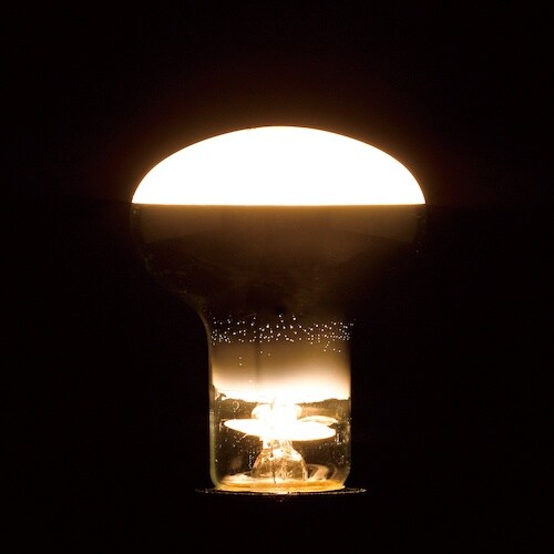 YAZAWA レフ電球60W形 長寿命