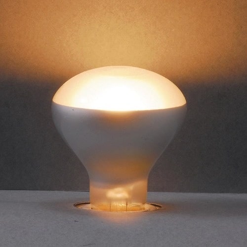 YAZAWA ミニレフ球50W 長寿命