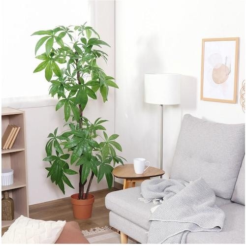 不二貿易 観葉植物 パキラ スタンダード