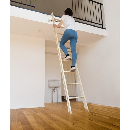 PiCa 室内はしごLRS型