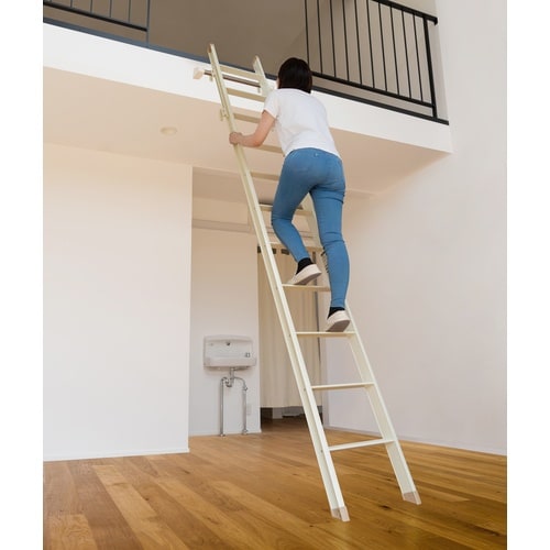 PiCa 室内はしごLRS型