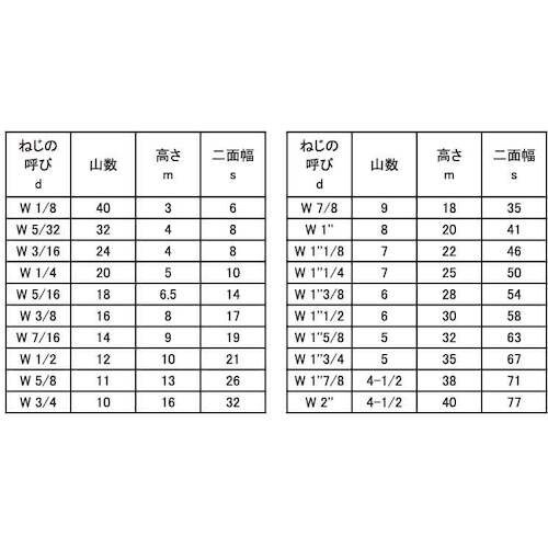 SUNCO 3カ−W ナット(1シュ 1/2 (