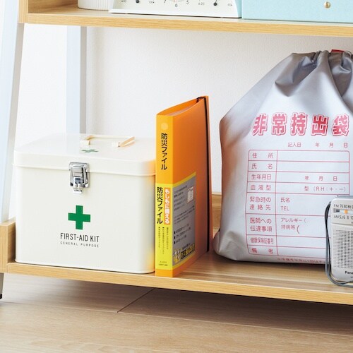 LIHIT 防災ファイル ベージュ