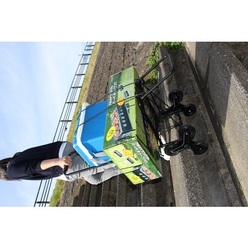 TASSCOM 三輪カート3